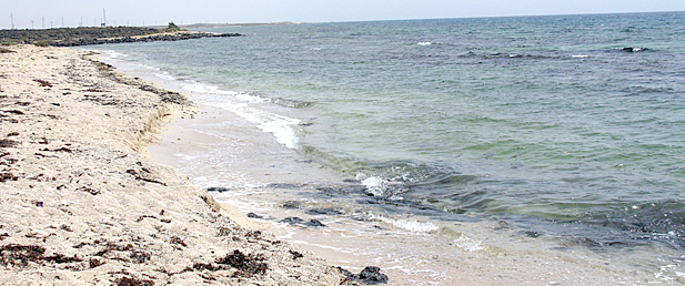 الشاطئ الرملي في منطقة عمق